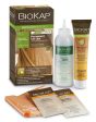 BioKap Extra Light Golden Blond 9.3 Rapid Permanent Hair Dye 140 ml Online now