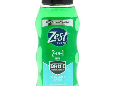 Zest 2-in-1 Hair and Body Wash - Signature Scent by Zest for Men - 20 oz Body Wash Online Hot Sale