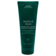 Aveda Botanical Repair Strengthening Conditioner by Aveda for Women - 6.7 oz Conditioner For Discount