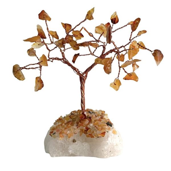 Alternative Distribution Crystal Tree Carnelian Fashion